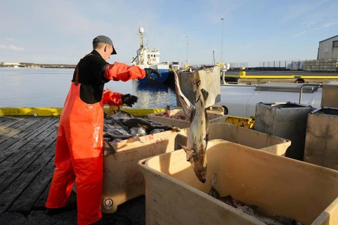 Commercial fishing