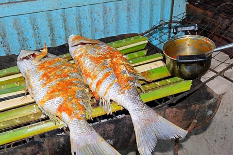 Creole-style snapper marinated on a charcoal grill