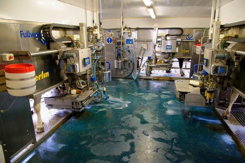 Dairy farming