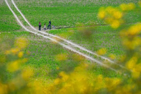 People walking dog on lead on track through farmland
