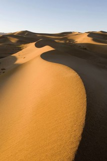 View of sand dunes in desert habitat