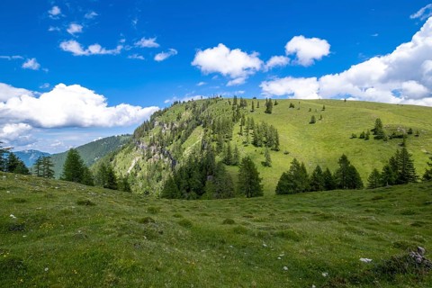 Postalm in the Salzkammergut