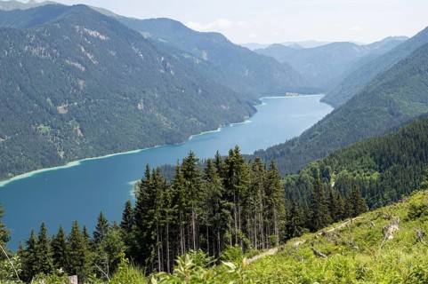 View from the Naggler Alm to the Weissensee