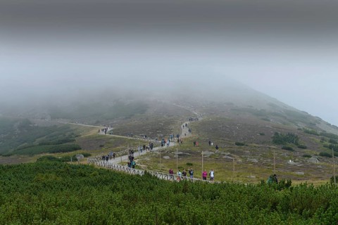 Hiking trail