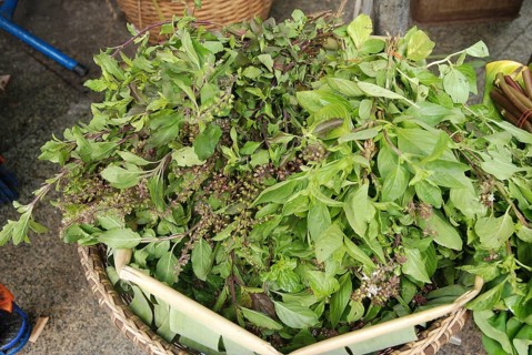 Thai Basil