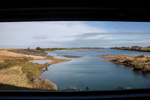 Looking north from the Sanctuary hide at RSPB Snettisham over oystercatchers and greylag geese roosting on the autumn tide