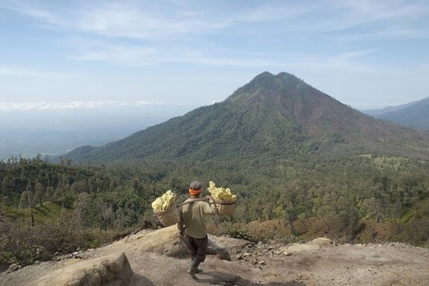 Local man carrying sulphur blocks in baskets down from the crater