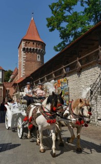 Horse-drawn carriage
