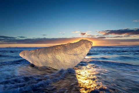 Melting ice block washing up on the beach along the Atlantic coast at Breidamerkursandur black sands in winter