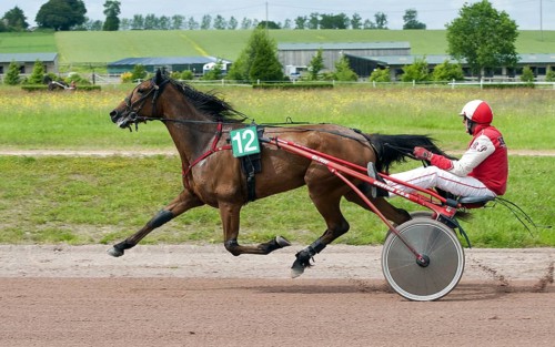 Horse racing