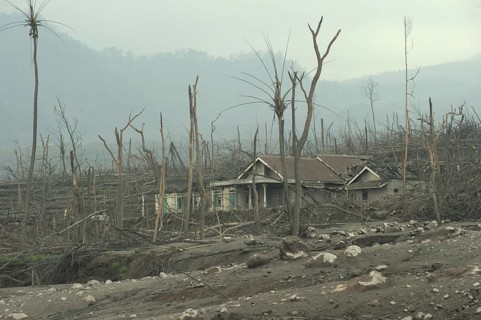 Ash-covered fields