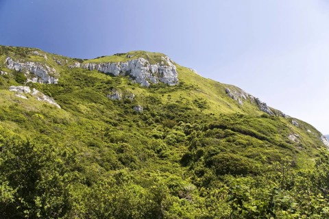 Chalk coastal foreshore with scrub habitat