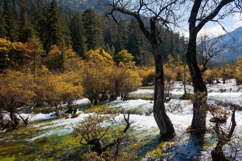 Sparkling Lake Cascades