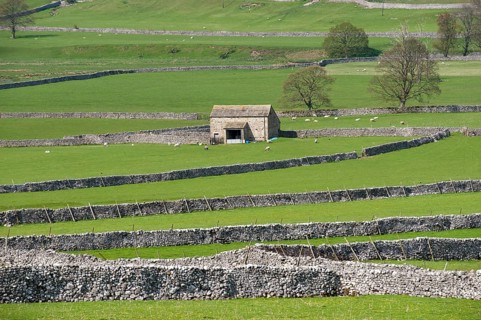 View of farmland with limestone drystone walls and barn