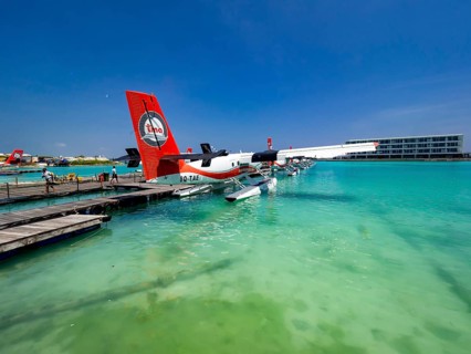 Pontoon with seaplanes