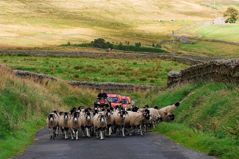Farmer on quad bike