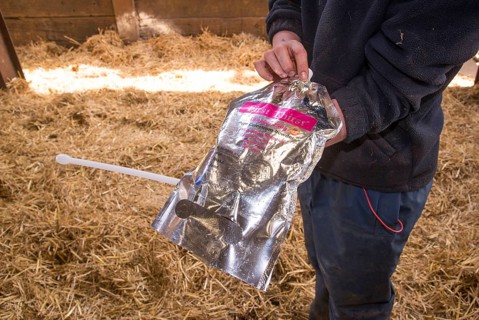 Dairy farming