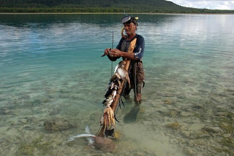 Spearfishermen standing in the sea with catches of reef octopus