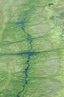 Wetlands
