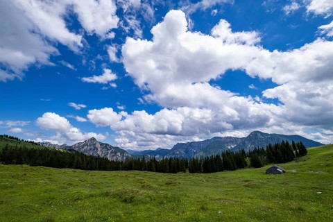 Postalm in the Salzkammergut
