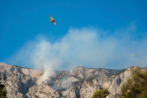 Firefighting aircraft in forest fire
