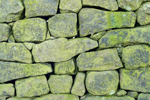 Close-up of lichen covered drystone wall