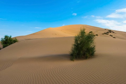 Singing Dunes