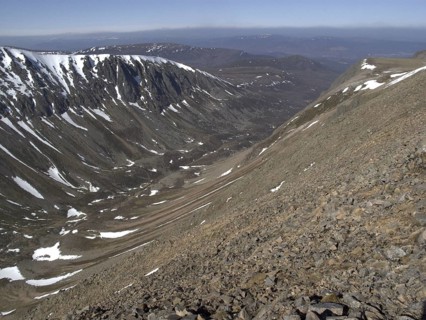 View of upland habitat