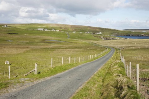 Single lane road through coastal pastures