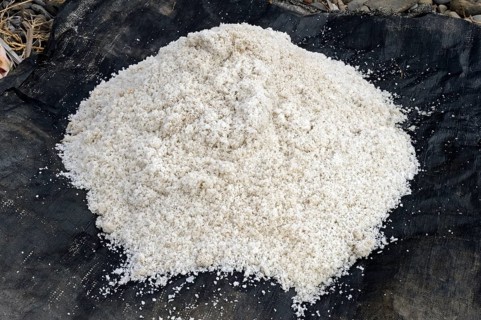 Harvested sea salt
