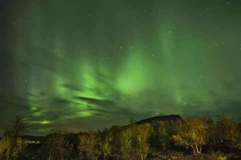 Aurora Borealis fell in the night