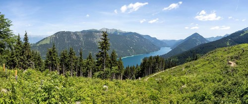 View from the Naggler Alm to the Weissensee