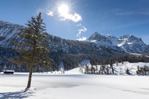 Winter landscape