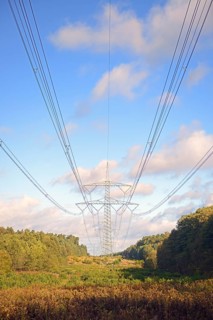 High-voltage power line in the forest aisle