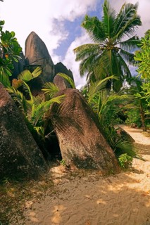 Palm trees and granite rocks on the dream beach Source d'Argent