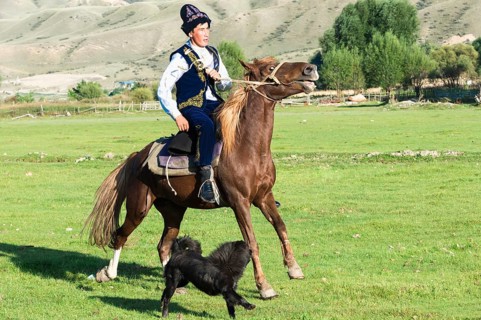 Kazakh horseman in traditional dress