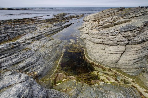 Rockpool on rocky coast at low tide