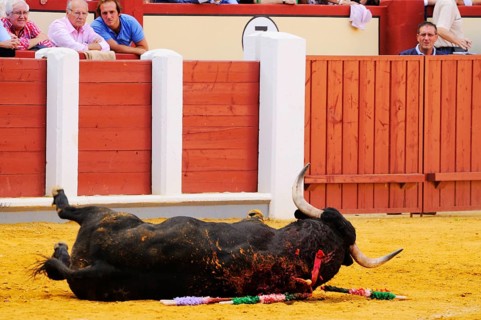 Bullfighting