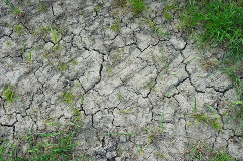 Drought