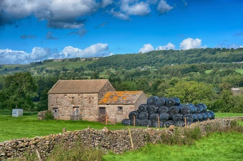 View of pasture
