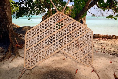 Traditional fish trap