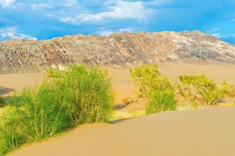Singing Dunes