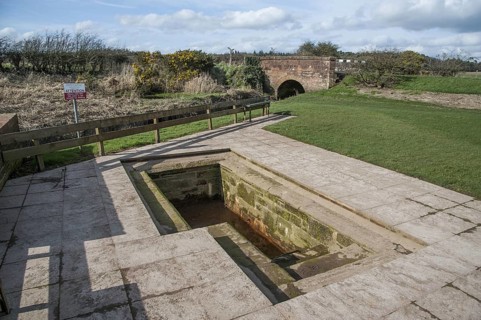 Chalybeate mineral spring