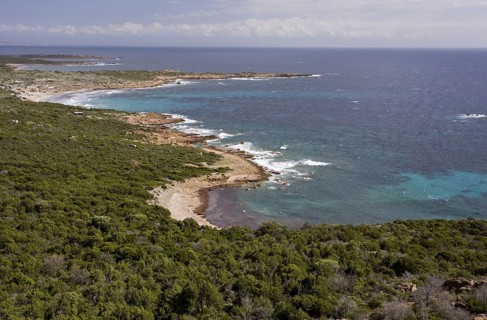 View of exposed