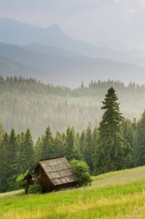 View over meadow