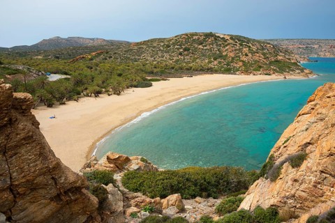 Palm beach of Vai with Cretan cretan date palm