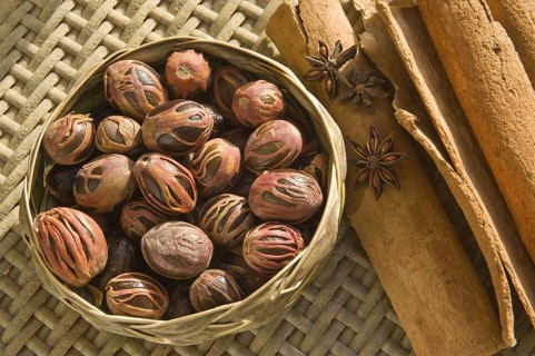 Nutmeg tree