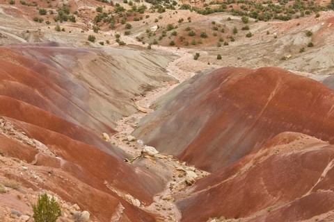 View of colourful 'badlands' habitat