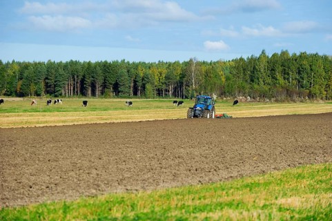 Tractor ploughing arable field