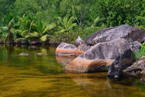 Brackish water lagoon at Anse Lazio